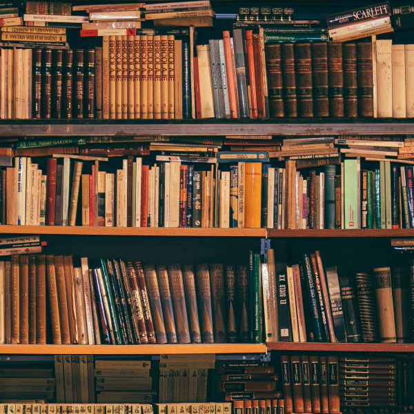 Offriamo servizio di ritiro a Ivrea e sgombero di libri usati a Torino, piccole e grandi collezioni, eredità e intere bibioteche in Piemonte