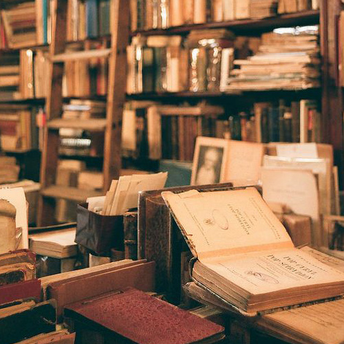 I libri, ottimi compagni di viaggio