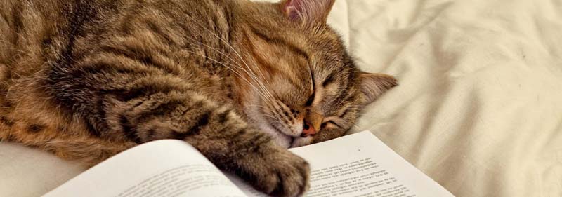 Nuovi arrivi di libri