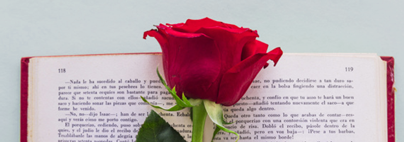 Nuovi arrivi di libri